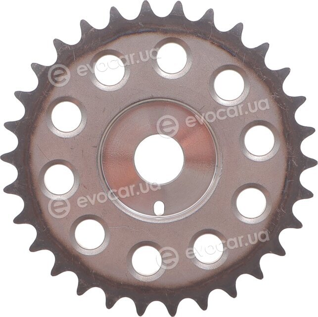 Motive TCK345