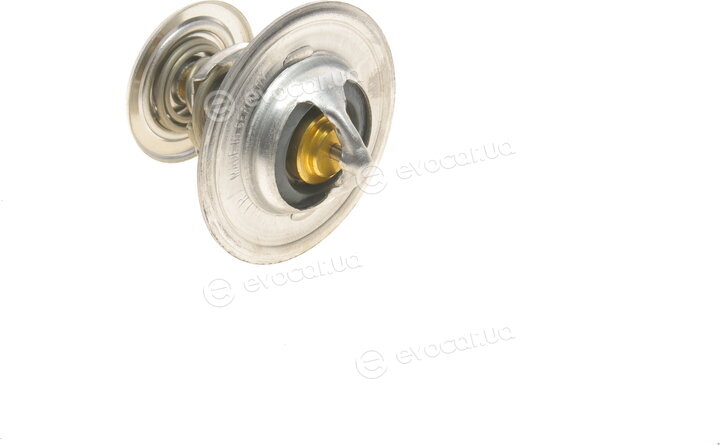 Wahler / BorgWarner 4264.84D