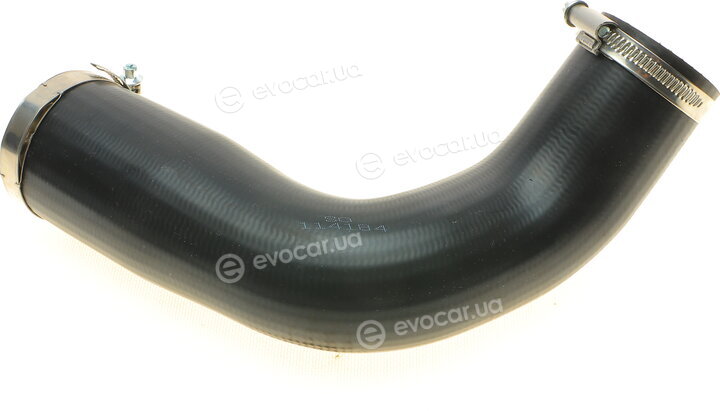 Solgy 114184