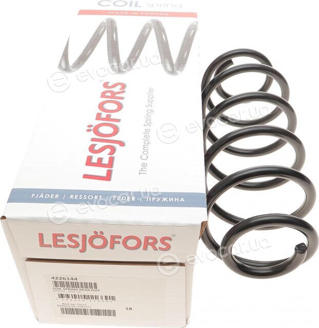 Lesjofors 4226144