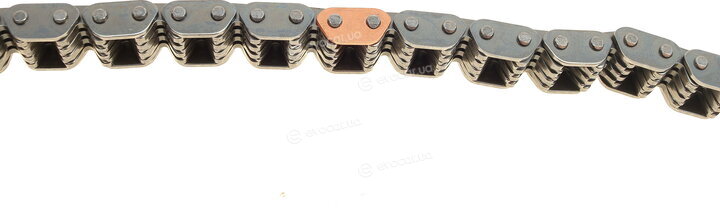 Borsehung B16298