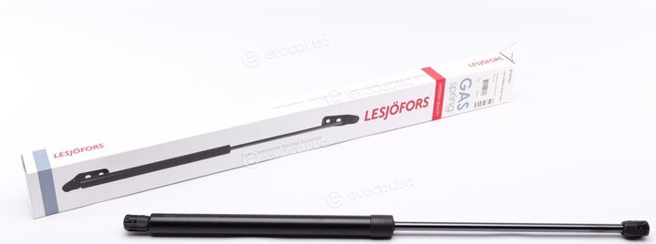 Lesjofors 8127567