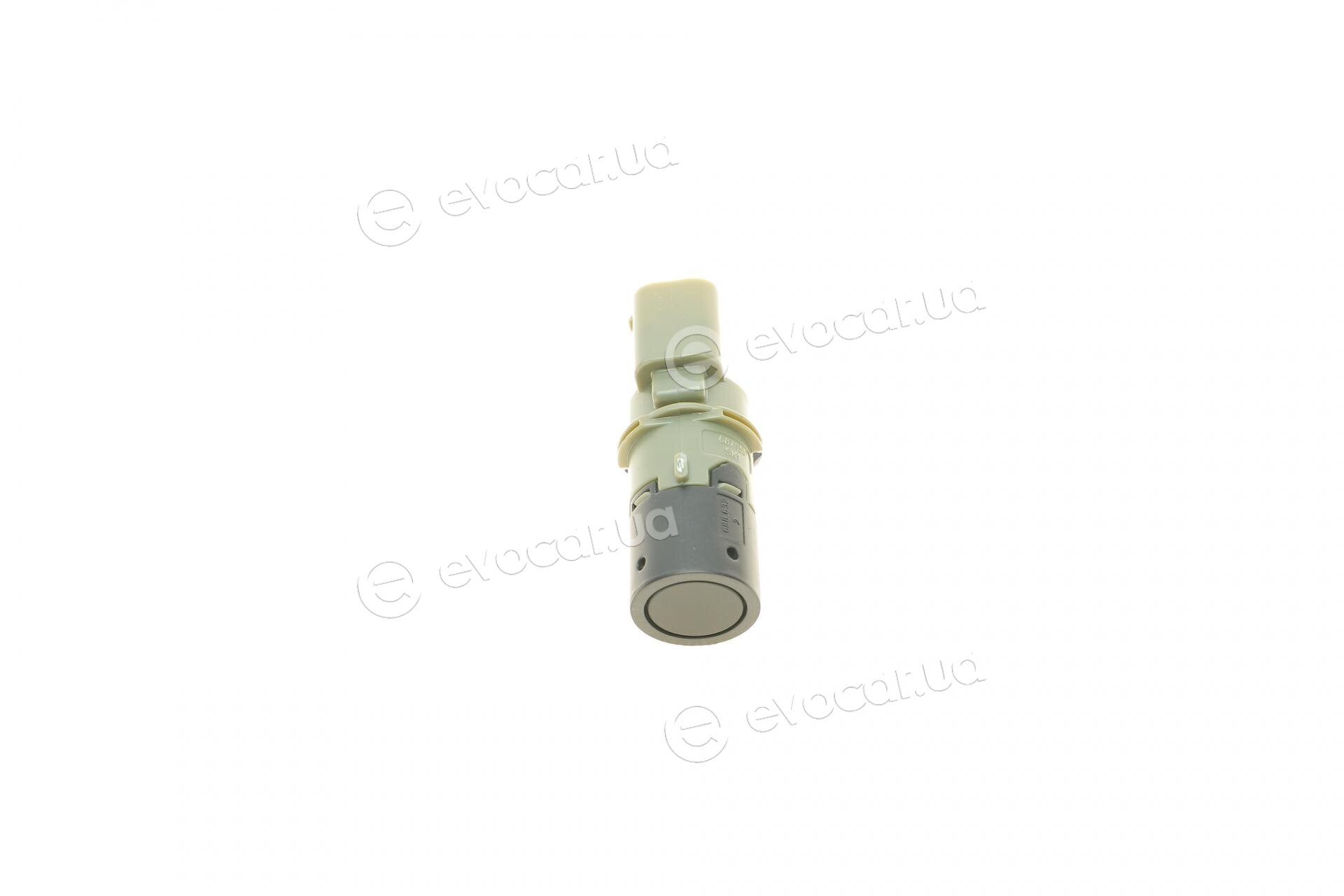 AIC 54427