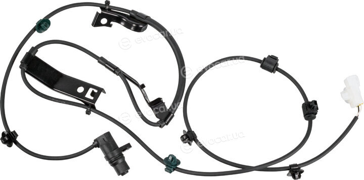 Blue Print ADBP710016