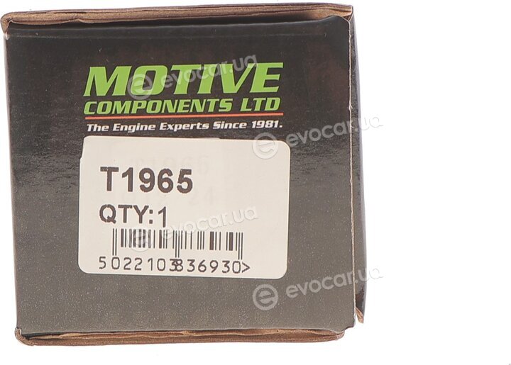 Motive T1965