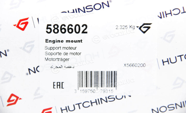Hutchinson 586602