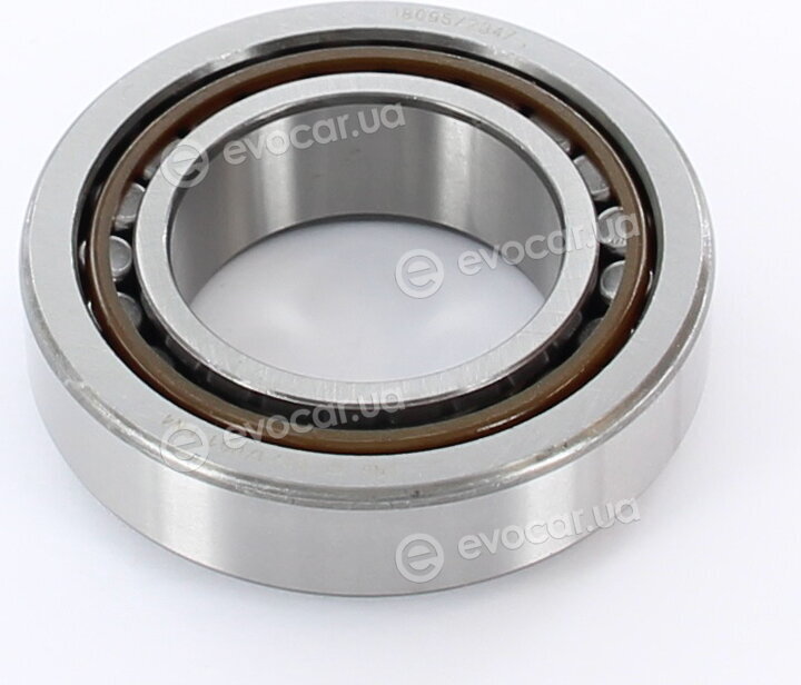 Mopar (PSA / FCA) 55572486