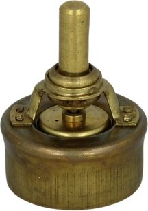 Wahler / BorgWarner 3029.89