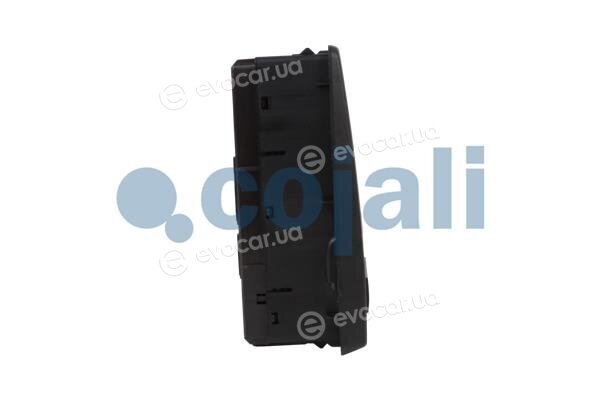 Cojali 2260479