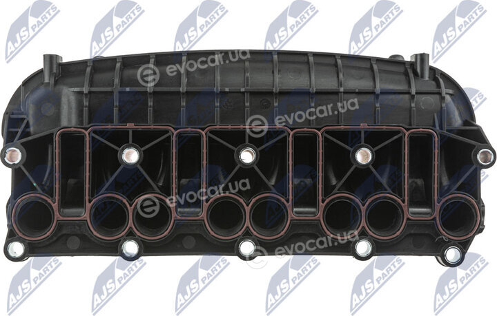 NTY BKS-VW-015