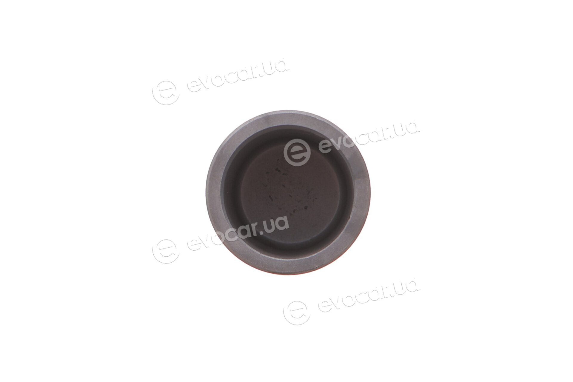 Frenkit P385104