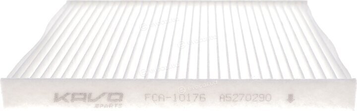 AMC FCA-10176