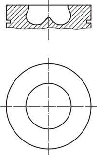 Mahle 013 PI 00107 002