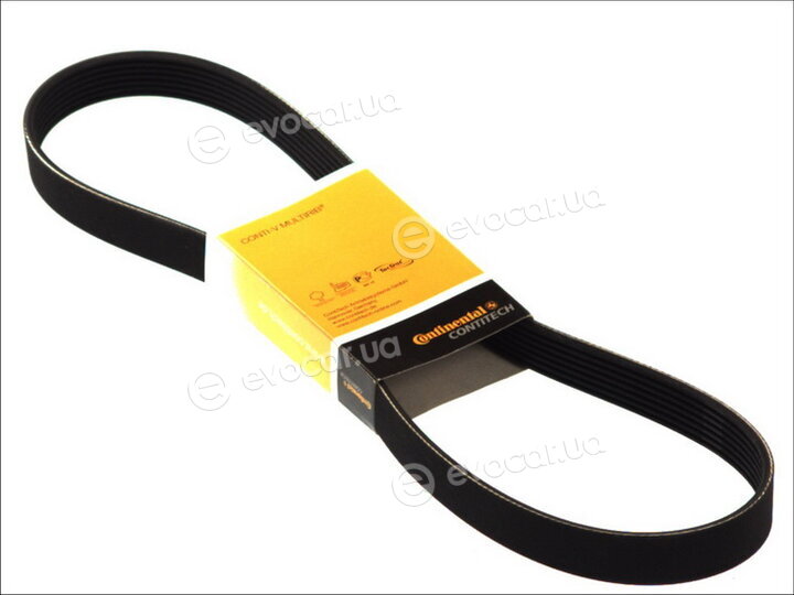 Continental 7PK1080