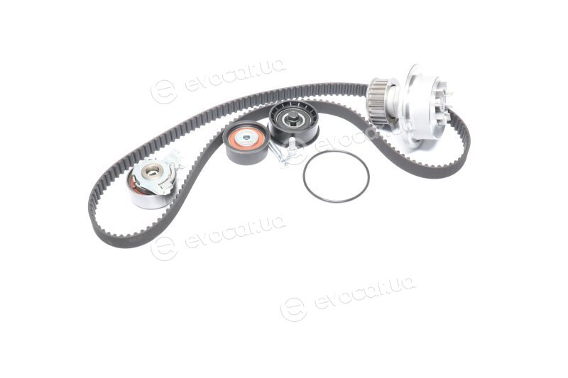 Dayco KTBWP3080