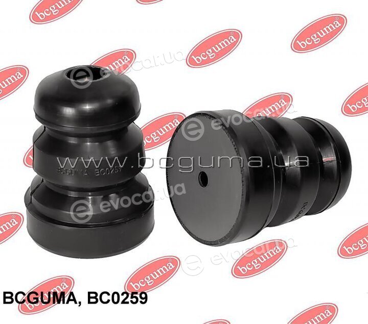 BC Guma 0259