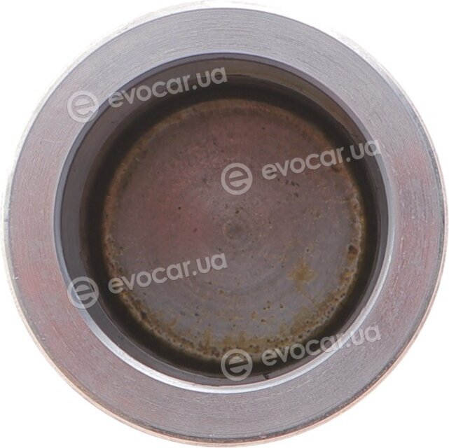 Frenkit P445003