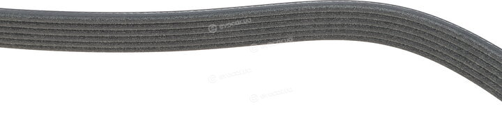 Dayco 6PK1985S