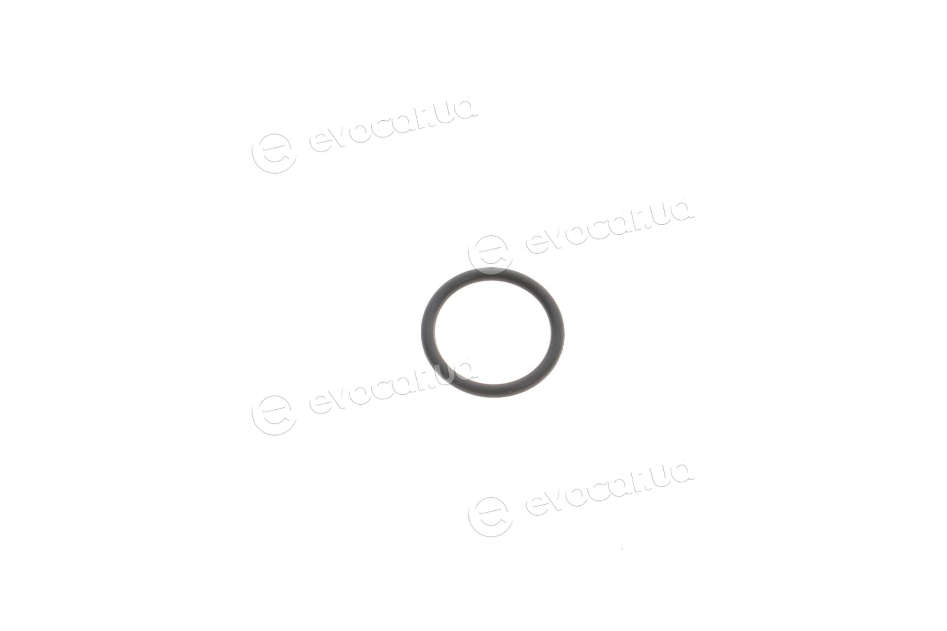 BMW / Mini 11428604872