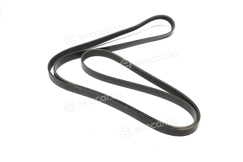 Gates 6PK2518XS