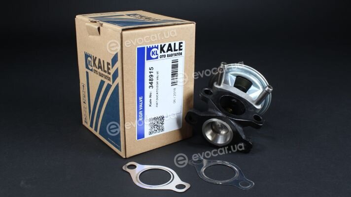 Kale 348915