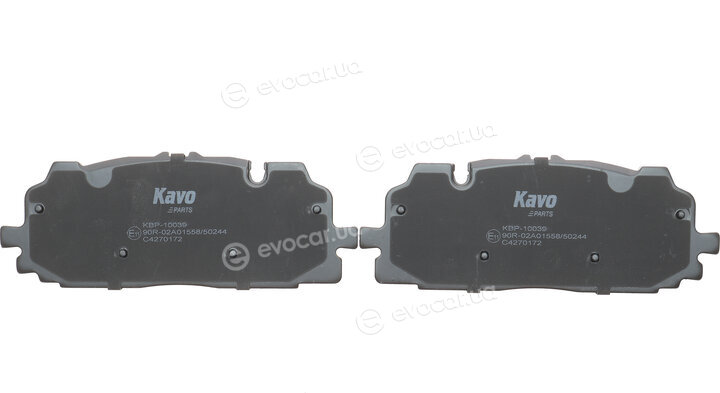 Kavo KBP-10039