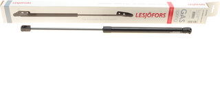 Lesjofors 8104256