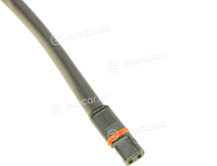 AIC 55545