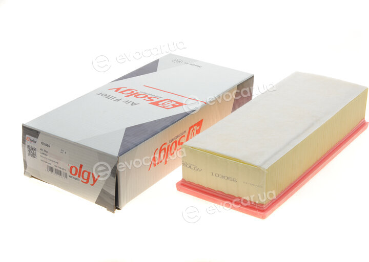 Solgy 103066