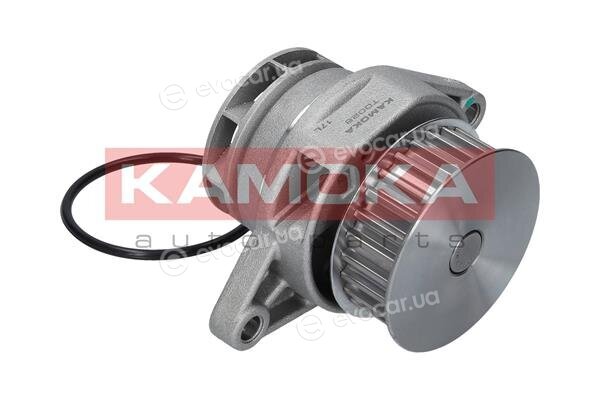 Kamoka T0026