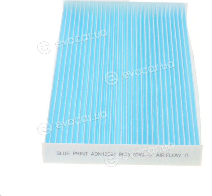 Blue Print ADN12524