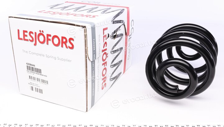 Lesjofors 4208444