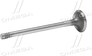 Gunes 4585