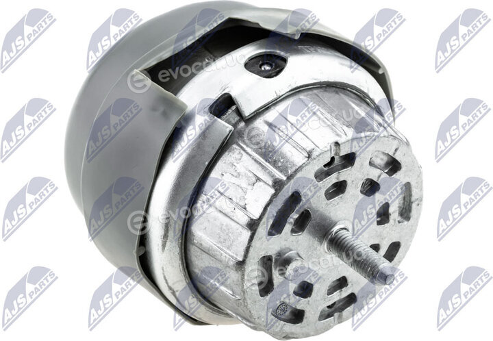 NTY ZPS-AU-009