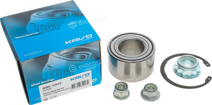 Kavo WBK-10042