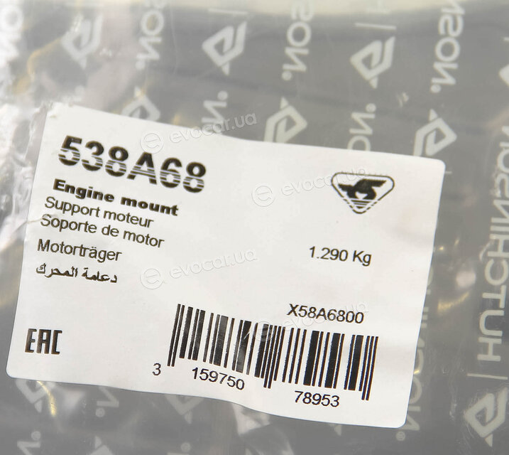Hutchinson 538A68