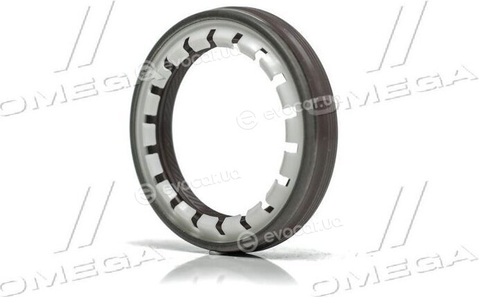 Elring 381.690