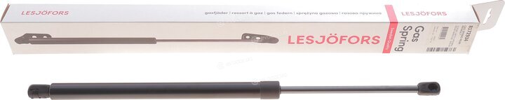 Lesjofors 8172934