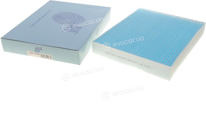 Blue Print ADF122530