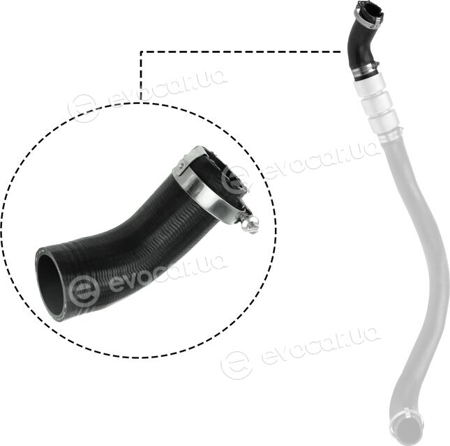 Rapro R16217
