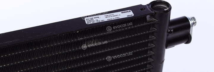 Mahle AC 724 000S