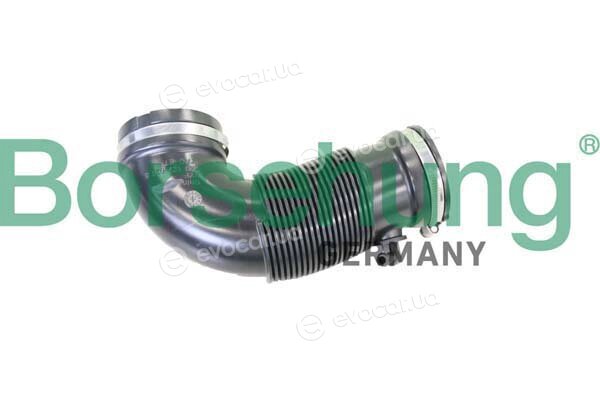 Borsehung B12329