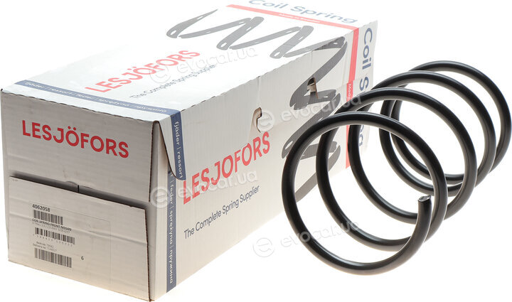 Lesjofors 4062058