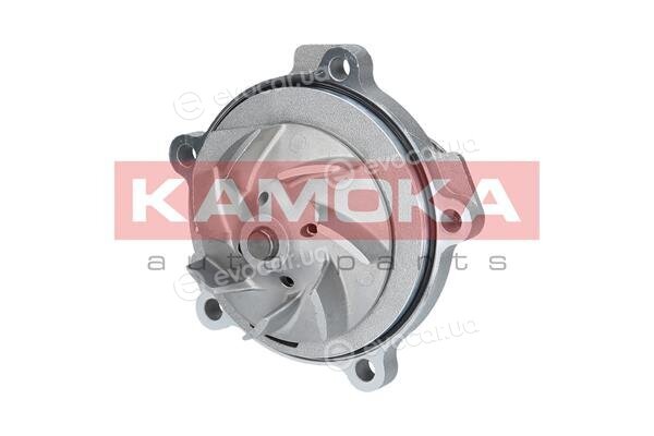 Kamoka T0077