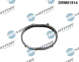 Dr. Motor DRM01914