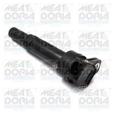 Meat & Doria 10620