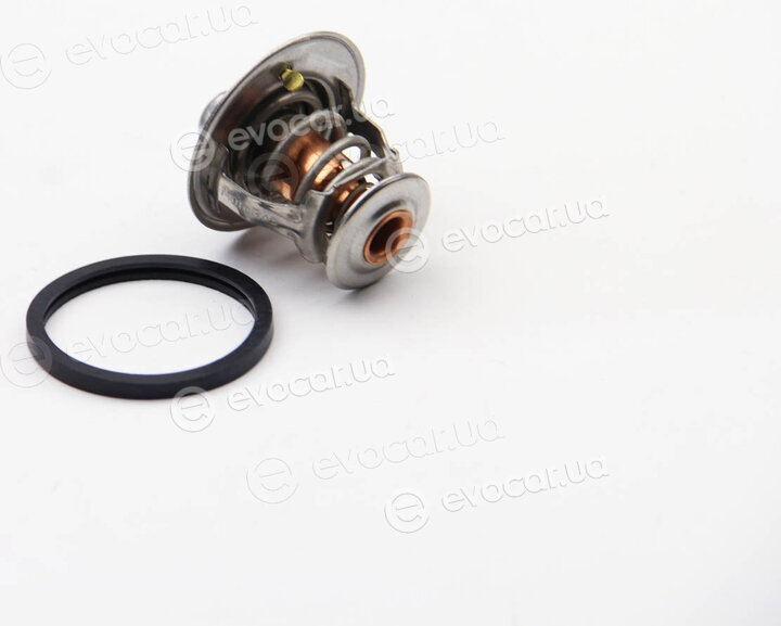 Motorad 564-77K