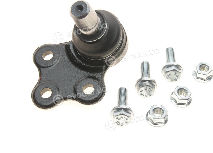 SKF VKDS 312019