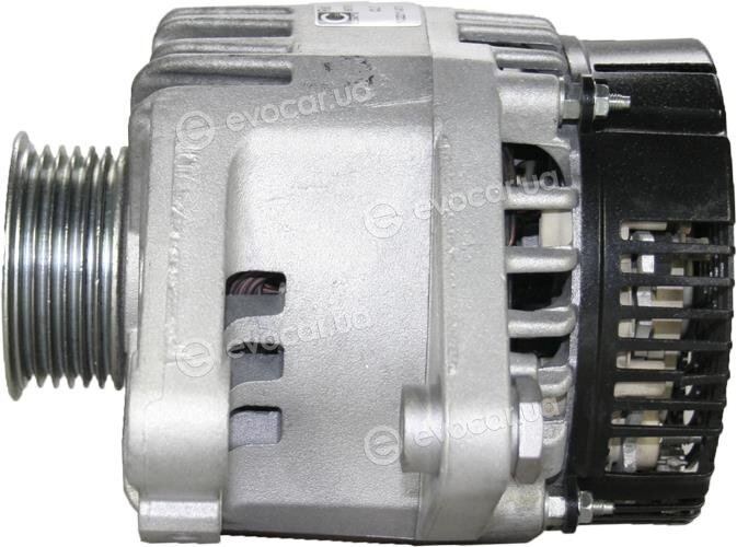 Starline AX 1306