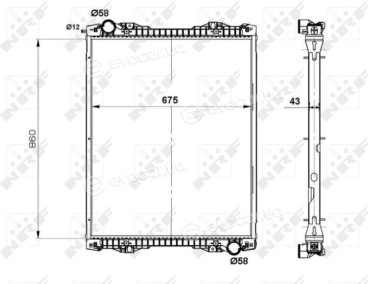 NRF 519743